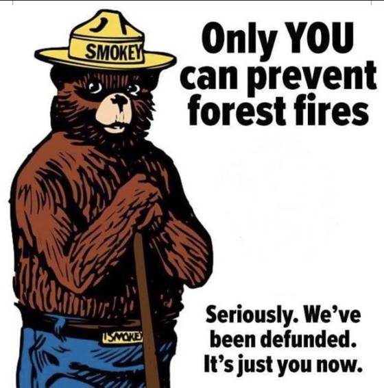 Smokey Bear poster: Only YOU can prevent forest fires. Seriously. We have been defunded. It is just you now.